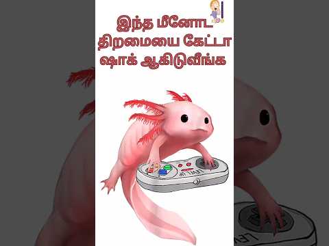 மீனின் தனித்திறமை|#fish#unknownfactsintamil#funfacts#factsshorts#facts#fun#shorts#funfactsintamil
