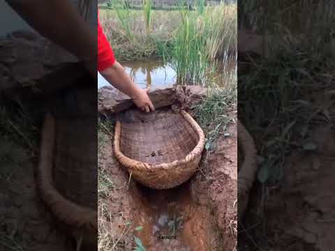 बारीश की मौसम 🌨️🌧️🌦️मछली  🐬🐟🐠पकड़ने का मजा कुछ अलग है 😱 l #shortsfeed #fishing #river #fish