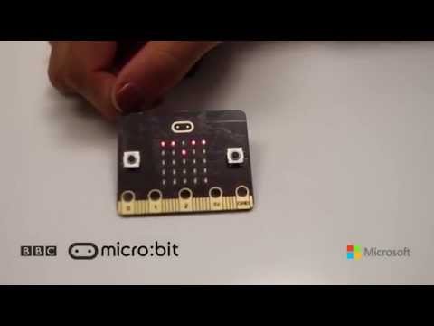 BBC micro:bit - Flipping Bird Challenge