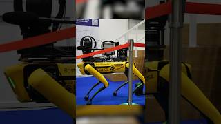 Spot Boston Dynamics | ICRA 2024 | New technology | Pro robots