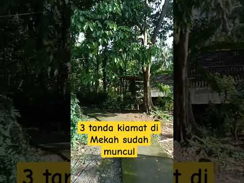 3 tanda kiamat di Mekah sudah muncul #youtubeshorts #feedshorts #shorts