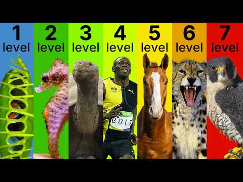 The 7 Levels of Biological Speed