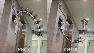 Enabling multirotor UAVs to perch, land and detach with standard propeller guards