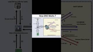 Network Basics : DNS