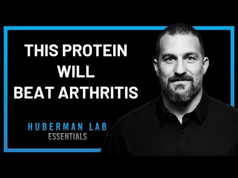 Top 3 Plant-Based Proteins for Arthritis Relief Soothe Pain & Inflammation Naturally-Andrew Huberman
