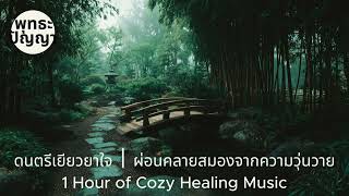 ดนตรีเยียวยาใจ | ผ่อนคลายสมองจากความวุ่นวาย | 1 Hour of Cozy Healing Music
