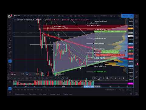 BITCOIN WILL GO DOWN (But it'll go up first!!!) (PART 2)