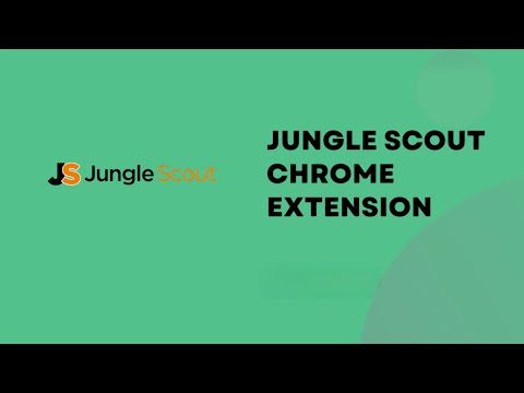 How to Install and Use JS Extension in 2024