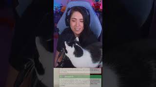 My Cat Hijacks the Stream to Steal Chat’s Love