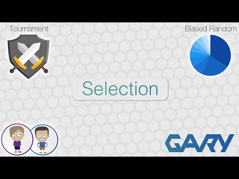 Selection - Writing your own Genetic Algorithm Part 2