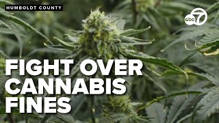 Lead attorney weighs in on cannabis fines in Humboldt County case