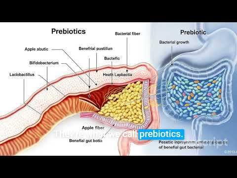 How Apples Feed Your Gut