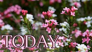 Relaxing Spring Vibes | Calm, Peaceful Living 🌸