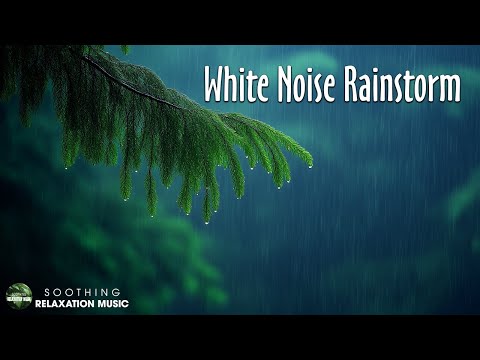 Rainforest Rain Sounds for Sleeping, Studying 🌧️ White Noise Rainstorm / Soothing Relaxation Music