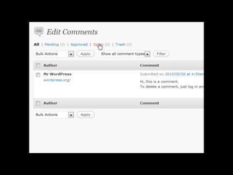Wordpress Comments Section Vid 8 - Website Design