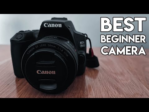 Best Entry Level Camera for Beginners in 2022 - Canon EOS 250D