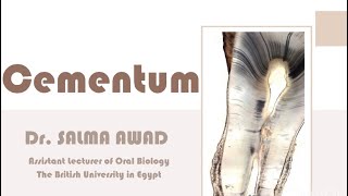 Cementum