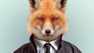 WOMB CONVERSATIONS:  "The Wolf and the Judge"
