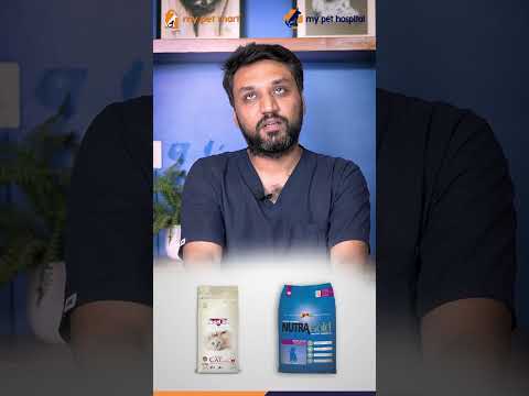 Top Cat Food Picks by Dr. Asfandyar: Keep Your Cat Happy and Healthy!
