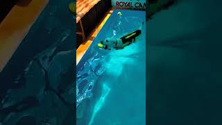 swimming time 💦🐾🥰 #artist #dog_features #trending