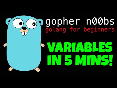 GOLANG VARIABLES IN 5 MINUTES!!! Go Tutorial for Beginners