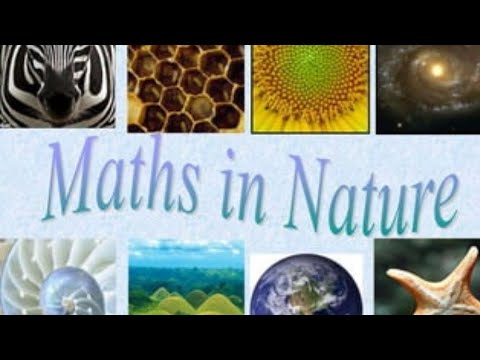 Geometry With Joy: Best Way to Understand @righttrack999