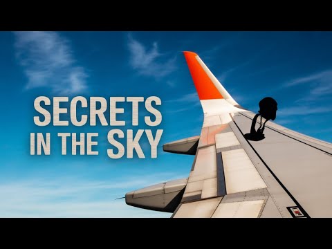 Criminals on Planes? The Shocking Truth About Prisoner Flights ✈️🚨 #aviation #airline  