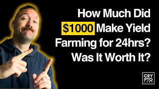 My $1000 Defi Portfolio Earnings After 24 Hours Yield Farming.