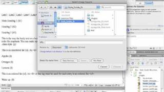10.Creating.a.CSS.Style.Guide( Inserting an image).mov