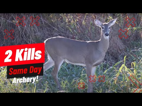 2 Deer , Same Day TN Archery!
