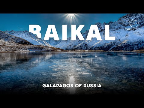 Galapagos of Russia, Baikal
