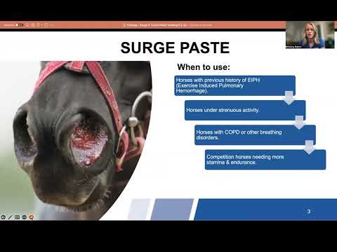 Training: Surge Paste & Travel Paste