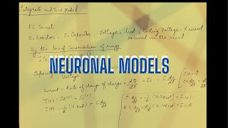 Understanding RC Circuits in Neuroscience: Explained in Simple Terms"