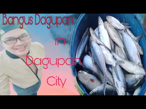 Bangus Dagupan ng pilipinas sa Dagupan City