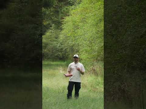 Why Israel Chose False Gods Over the True God, False Gods Don’t Demand Morality — God Does