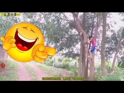Try Not To Laugh Challenge P  6   Must Watch 😂😂 Funny Comedy P  6 Tha Chi Fun