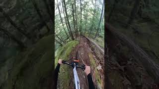 Heights of Fear, Depths of Courage ⛰️⚡ #FearlessRide #MountainAdventures #CourageOverFear