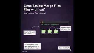 day 7 cat command #linuxcommandlinetutorial #learnlinux #linuxcourse