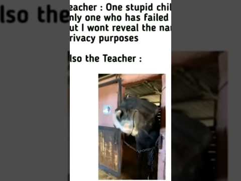 There is best  meme of horse test