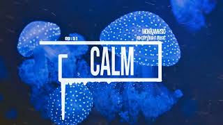 Minimalistic Electronic Tech Background "no copyright music" by MokkaMusic / Calm