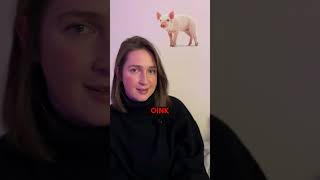 🐷🐮🐸🐍  and their sounds #angielski #english #languagelearninghacks #angielskiwminute #english