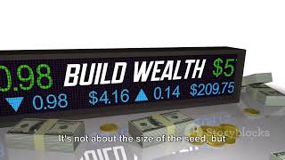 Empower Your Wealth  A Motivational Jour
