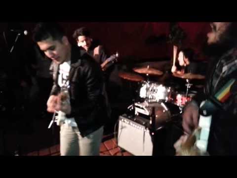Rubber Lizard Live- In Tune