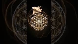 ✨ The Ethereal Golden Flower of Life | Meditate to 888Hz ✨