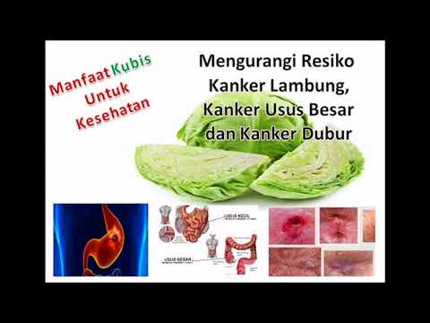 Kubis Bisa Mengobati Kanker