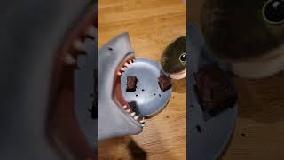 Hungry Hand eats Brownie with Toto!