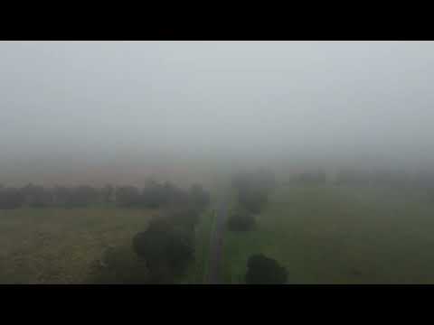 Priors Pocket Fog
