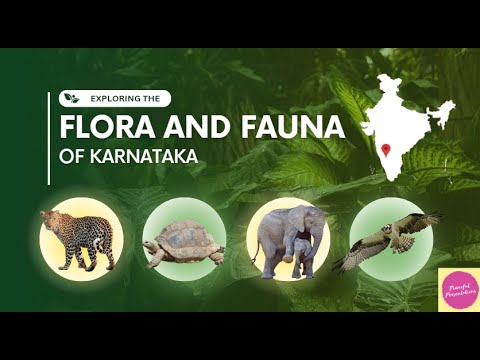 Art Integrated Learning | Flora & Fauna of Karnataka | Project