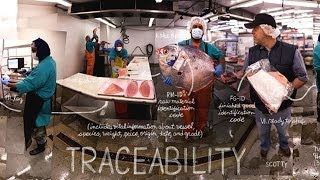 Traceability | The Lexicon of Sustainability | PBS Food