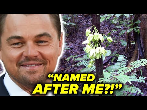 Leonardo Dicaprio Has His Own Type of TREE?!